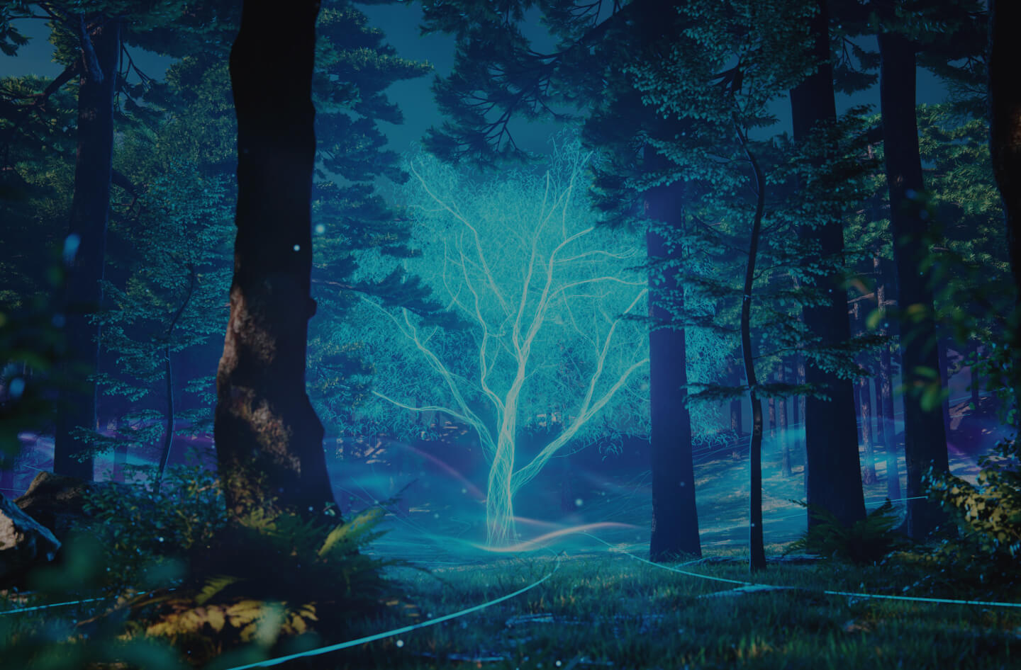 Content marketing & Social media